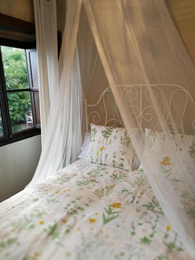 فيلا إل باسوفي La Hacienda المظهر الخارجي الصورة
