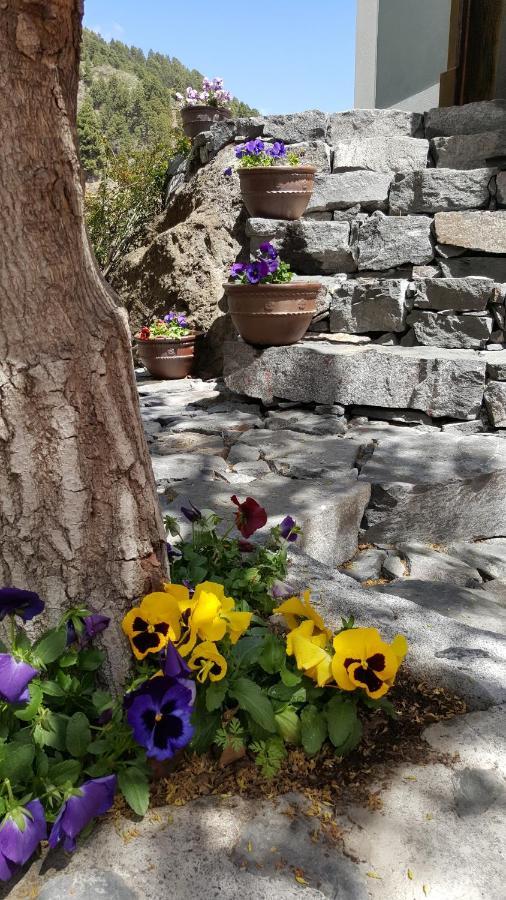 فيلا إل باسوفي La Hacienda المظهر الخارجي الصورة