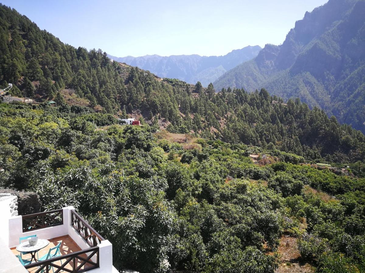 فيلا إل باسوفي La Hacienda المظهر الخارجي الصورة